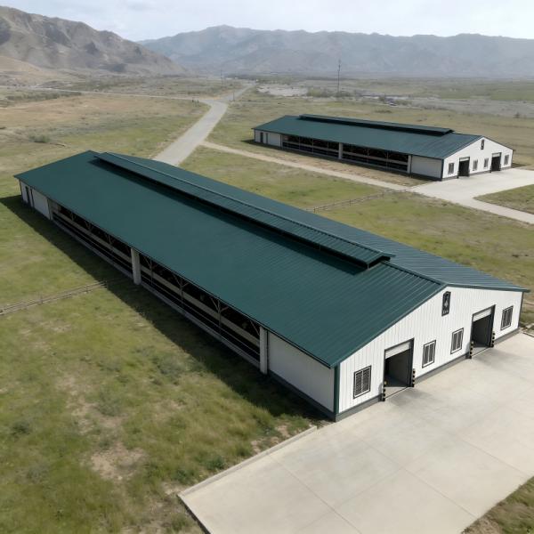 Hot-Dip Galvanized Customizable Multi-Bay Steel Structure Cow Barn for Commercial Ranch Beef Cattle Fattening