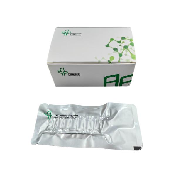 Kit de PCR isotérmico de ARN de alta eficiência estável e fácil de operar