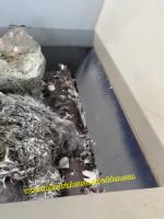 Máquina de trituración de papel de película de aluminio de alta eficiencia Trituración para residuos de película de aluminio en la fábrica de papel Capacidad de trabajo pesado 1000 kg por hora