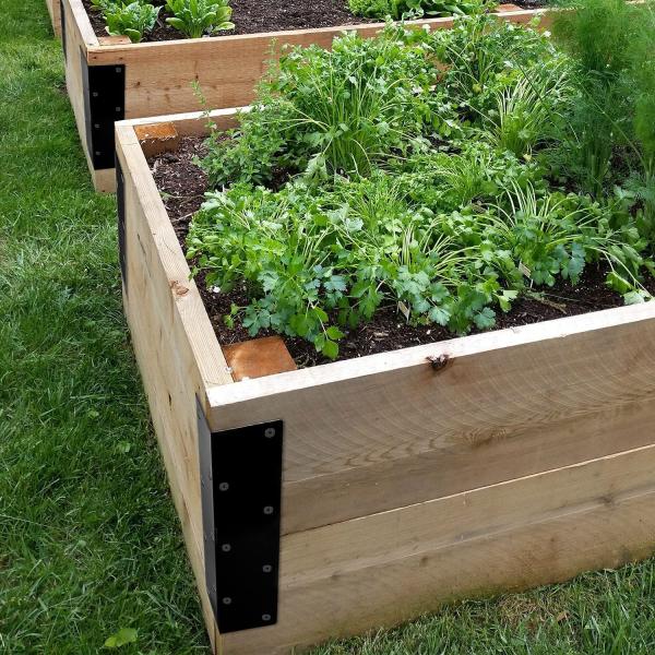 Настройки из стали для наружных садовых кроватей