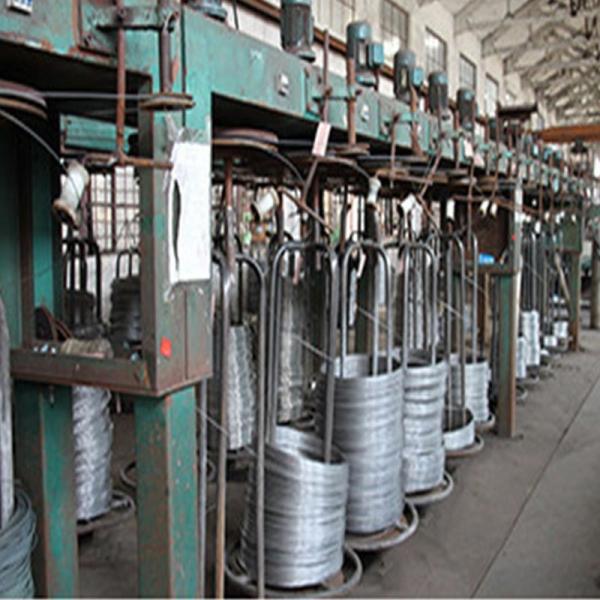 Электрическая поверхность A479 веревочки провода 6mm нержавеющей стали весны загородки яркая