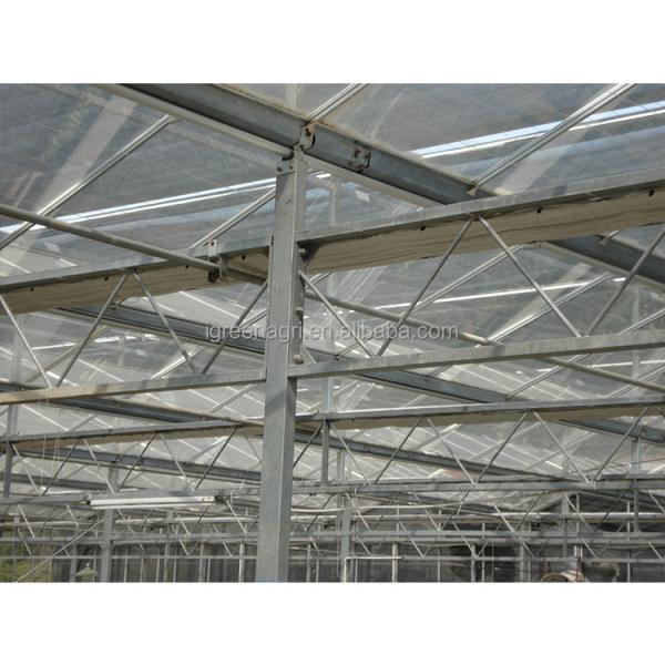 Steel Flame Multi Span Greenhouse Commercial Glass Greenhouse With Winter Cover And Hydroponic System