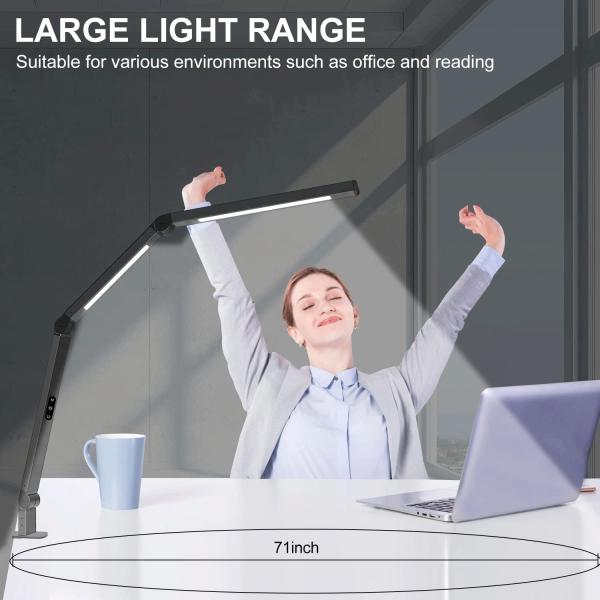 Clamp Desk Lamp Dual Light Swing Arm Adjustable Heat Lamp For Home