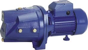 自動プライミング電動機の水ポンプJSP-255A 0.75HPを振りかける庭