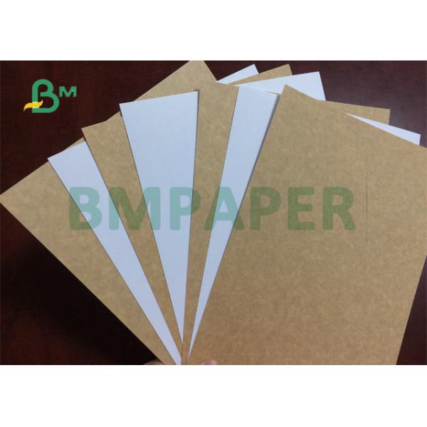 325gsm 31" High Tear Resistance Food Grade White Top Craft Cardboard For Lunch Box 325gsm 31
