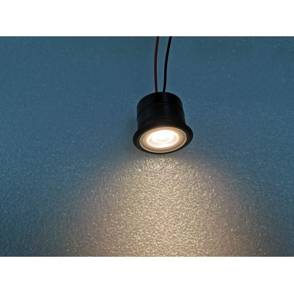 Black Finish LED Spot Light 1W 316 Stainless Steel Material Houing IP68 Underwater Light
