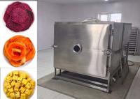 Secador por congelación con vacío de alimentos de grado industrial para secado rápido y preciso
