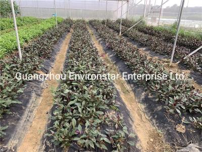 Compostable Weed Barrier Fabric
