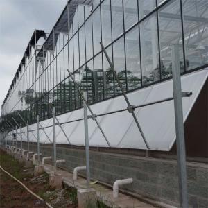 3mm 4mm Tomato Venlo Vitrina portátil de vidro teto e controle de ventilação