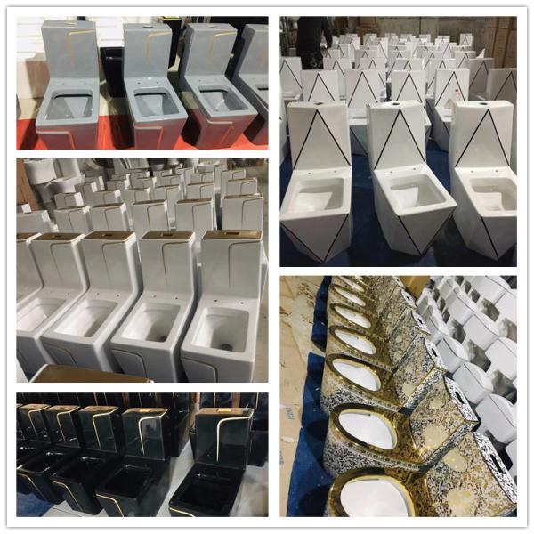 Sanitary Ware One Piece Bathroom Toilets White Ceramic Manual Button