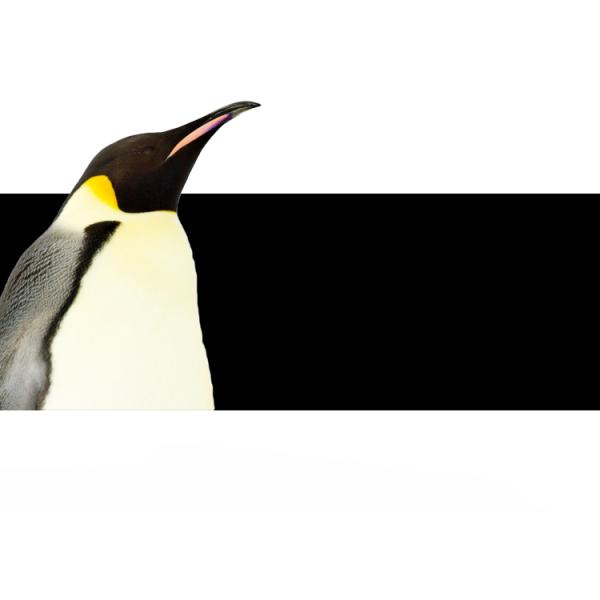 Luxury Ergonomic Neck Memory Foam Pillow Chin Support Travel Pillow Airplane