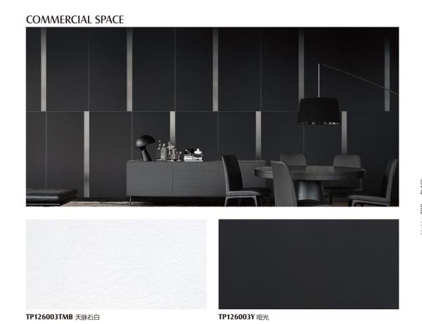 PRIMERA 600x600mm Full Body Porcelain Tiles Matt Rough Black White