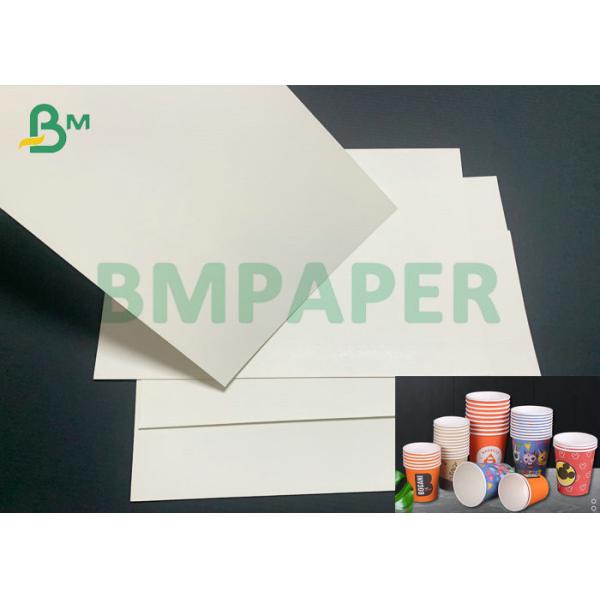 PE покрыло Paperboard PE 185gsm + 15gsm для делать десерт или плошки для супа
