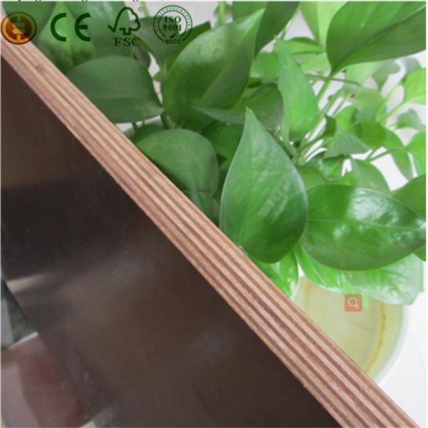 18mm Black Film Faced Plywood For Formwork Building