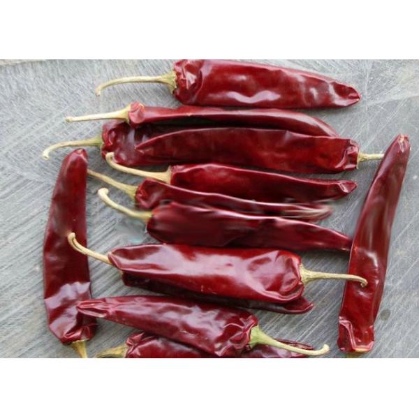 Средние горячие высушенные перцы 10000SHU Чили влаги Chili 12% Guajillo красные