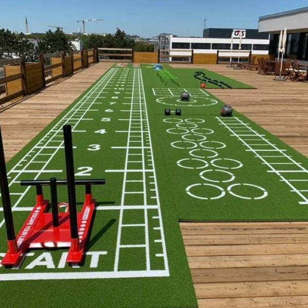 Comfortable Brown Synthetic Grass Sports Flooring for Garden Workout Bliss Gym Turf Mat