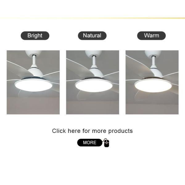 Casa Moderna Ventilador de teto de 48