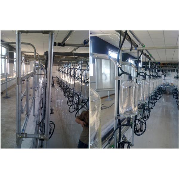 HL-G01 2x15 Botella de leche de vidrio de leche de vaca Herringbone Salón de ordeño con 380 Volt 50Hz