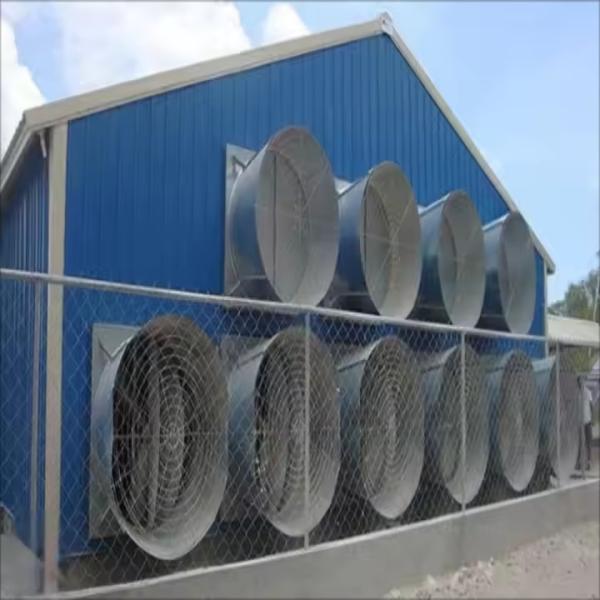 Modern Design Waterproof Thermal Insulation Chicken House Laying Chicken House Steel Structure Poultry House