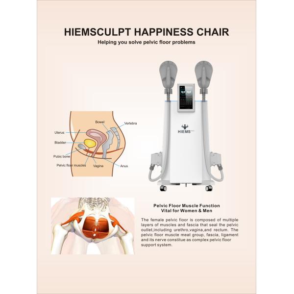 White 7 Tesla EMS Muscle Stimulator Machine Air Cooling For Weight Loss