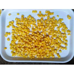 Canned Sweet Corn