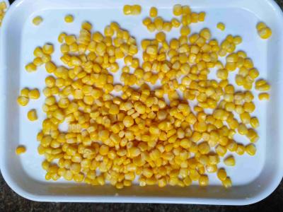 Add Burst Of Flavor And Nutrition With Canned Sweet Corn For Tacos And Casseroles
