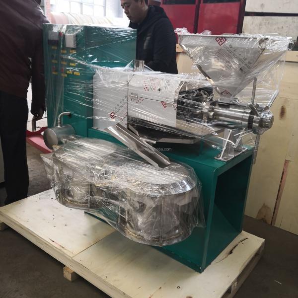 Business Small Oil Press Seed Peanut Olive Coconut Cold Oil Press Machine for sale