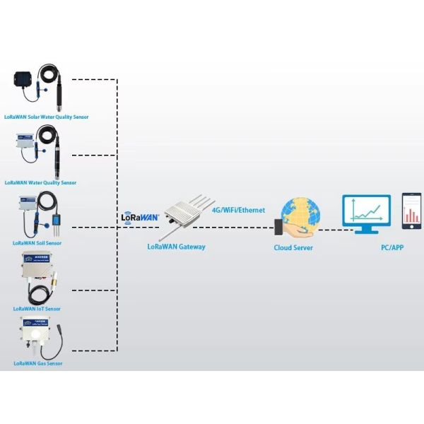 LoRaWAN Optical Dissolved Oxygen Sensor | Freshwater & Seawater Versions | Fluorescence Principle, 0-20mg/L