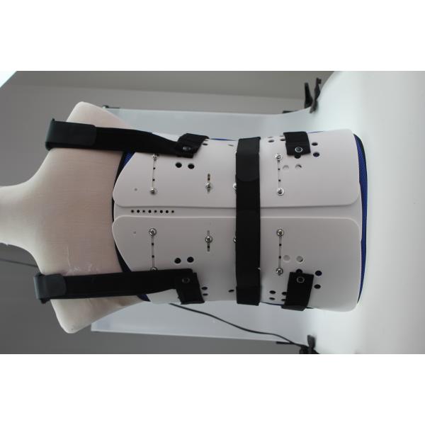 Perforated Breathable Fabric Lumbar Sacral Support Back Brace For Women , Men