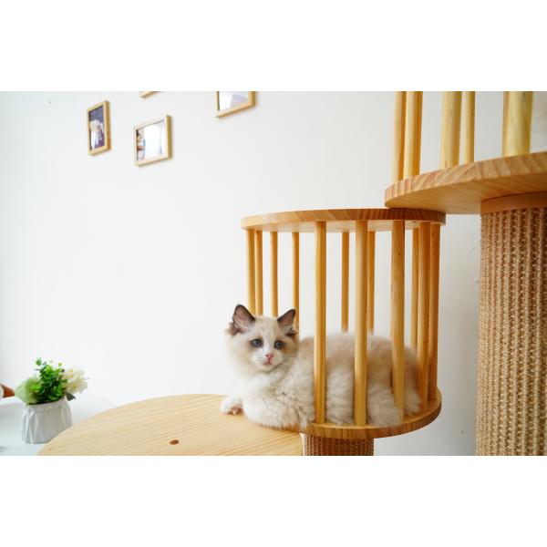 Кондо башни дерева прочного кота котенка дома взбираясь с царапать столбы