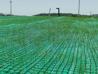 Fibra de coco Mat Reinforced By Nonwoven And da vegetação de Geocomposite Geogrid