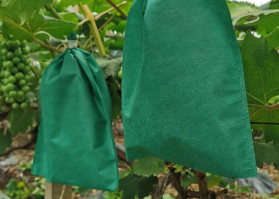 High Tensible , Durable PP Spunbond Nonwoven for Agricultural Textile