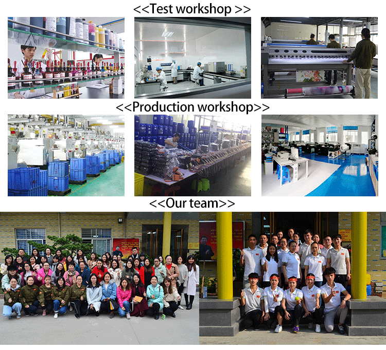 FCOLOR 30cm XP600 DTF Printer Roll-to-Roll Automatic T-Shirt Printing Machine with Shaker & Dryer for Small Business