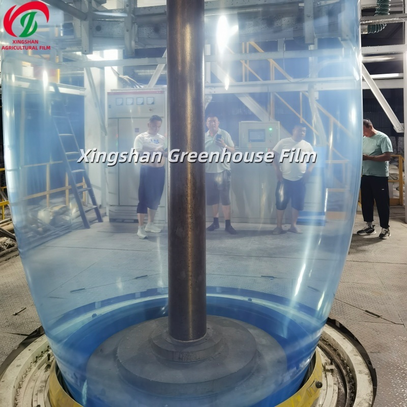 Agricultural Green House EVA Plastic Film With High Light Transmission