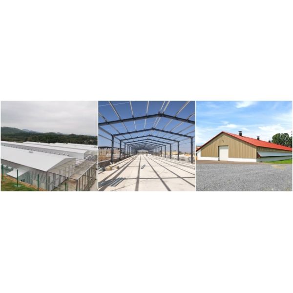 Portable Expandable Steel Structure Poultry House Prefab Warehouse Office