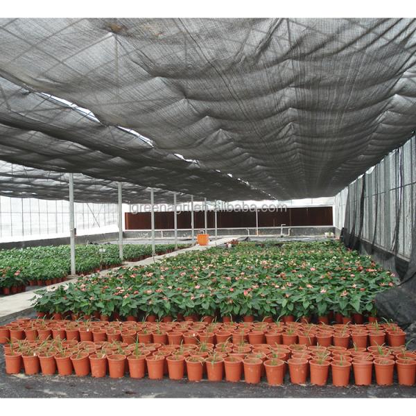 IGreen Agricultural Greenhouses Large Panda Film Greenhouse Suitable for All Climates