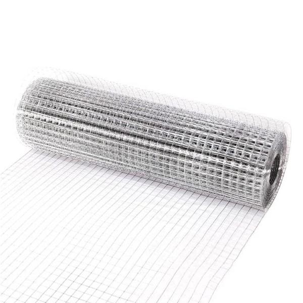 Electro Galvanized Welded Wire Mesh Roll for Aviary Mesh and Chicken Coop Direct Supply