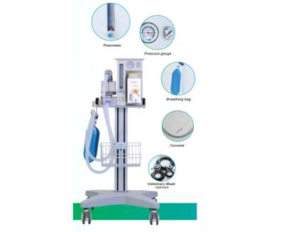 O2 Veterinary Anesthesia Ventilator 280kPa-600kPa Vet Anaesthetic Machine DM6C