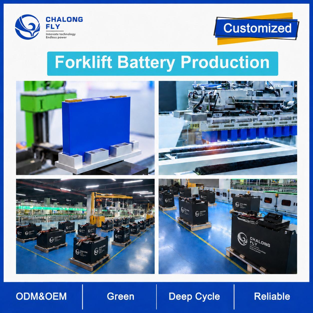 51.2V 608Ah LiFePO4 Forklift Battery with 4G Monitoring and SOC Display