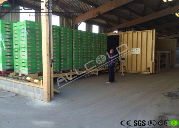 Refrigeradores verdes do vácuo dos legumes frescos de poupança de energia para refrigerar rápido das ervas