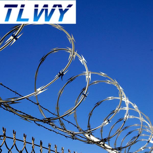 1.5mmx1.5mm Diamond Welded Razor Wire Mesh Electro Galvanized