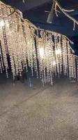 Chandelier de grand foyer en or transparent moderne 110V-240 85V-265V