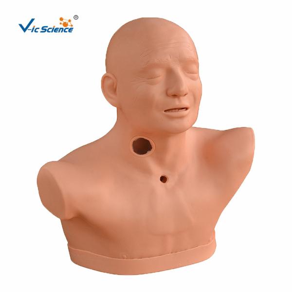 Advanced Adult Tracheostomy Care Medical Training Manikins Nature Size