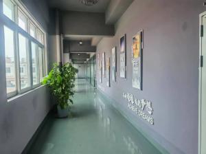 Dongguan Pinhe Shoes Co., Ltd