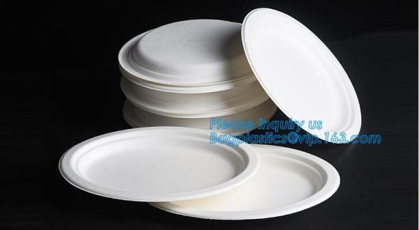 eco sugarcane pulp disposable biodegradable plate,Factory 100% Biodegradable Disposable Sugarcane Paper Raw Material Com