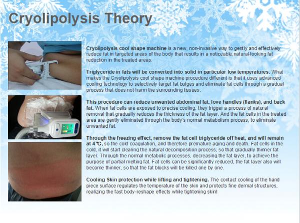 CE / FDA approved cavitation cryo rf Max -15 Celsius safety slimming fat freezing cool shape machine hot in Europe