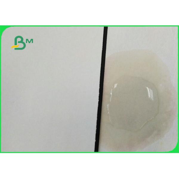 Roll Packing 350mm 370mm Uncaoted Water Absorbent Kraft Paper For Cup Coaster