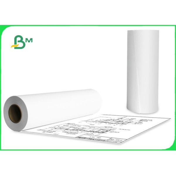 Large Format 75gsm Plotter Paper For Architect Drawings 36'' 48'' x 150'