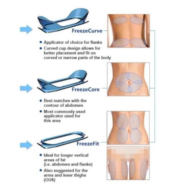 500W 40Khz Cryolipolysis Slimming Machine 3 Vacuum Handles Body Shaping