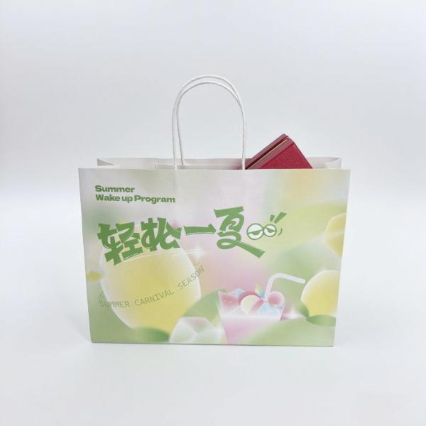 Customize Design Shopping Paper Bag Craft Paper Bags Printing Logo With Twisted Handles